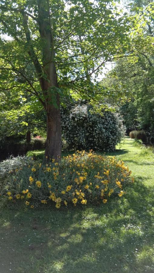 Rose & Stream Retreat Apartment Waikuku Екстериор снимка